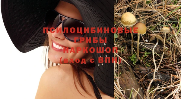 тгк Алексеевка