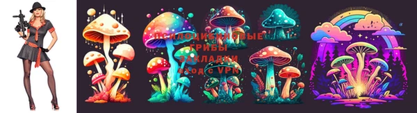 2c-b Алексин
