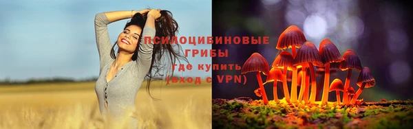 дмт Алзамай