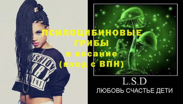 ПСИЛОЦИБИНОВЫЕ ГРИБЫ Болохово