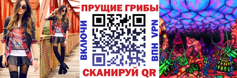 купить закладку  Алексин  mega зеркало  Галлюциногенные грибы MAGIC MUSHROOMS 