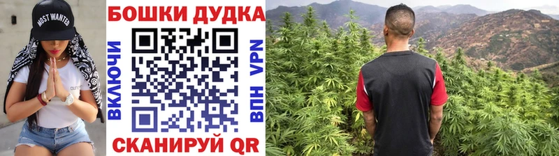 гидра вход  Алексин  Бошки Шишки планчик 